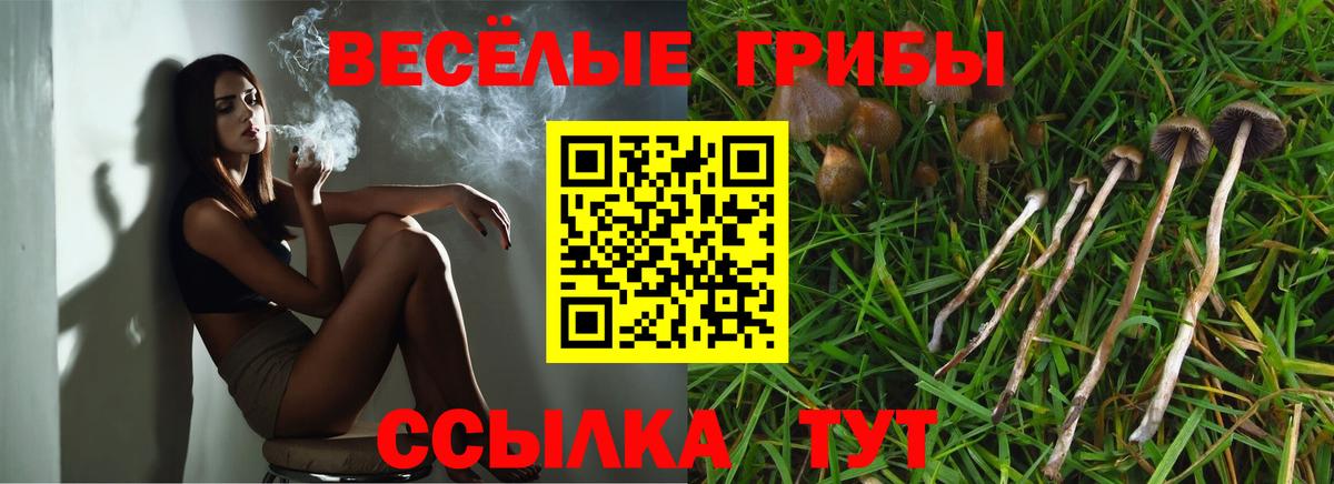 Псилоцибиновые грибы ЛСД Ялуторовск